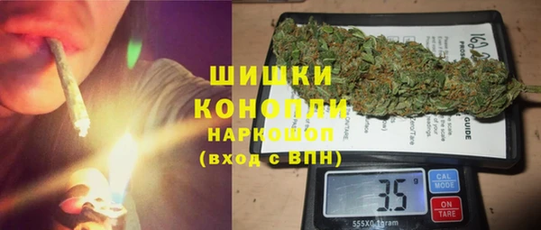 прущие грибы Нефтегорск