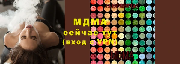 гашик Нефтекумск