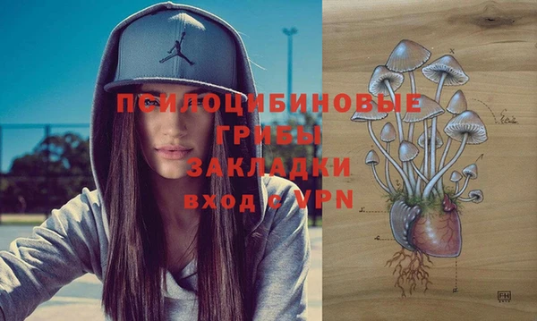 гашик Нефтекумск