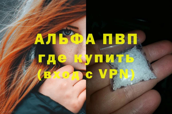 гашик Нефтекумск