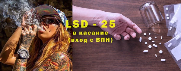 прущие грибы Нефтегорск