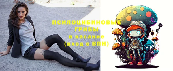 гашик Нефтекумск