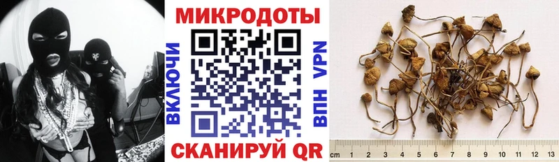 даркнет официальный сайт  Рославль  Псилоцибиновые грибы GOLDEN TEACHER 